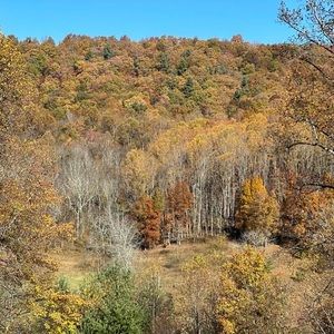 Meet your Posher, Frankie